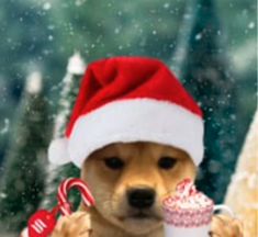 The banner for Wifmas on DEXScreener